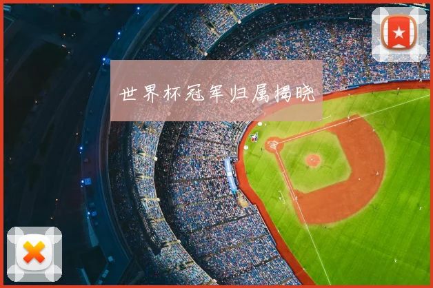 世界杯冠军归属揭晓